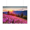 92408-591.jpg Sunlight Afterglow Poster