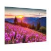 92408-592.jpg Sunlight Afterglow Poster
