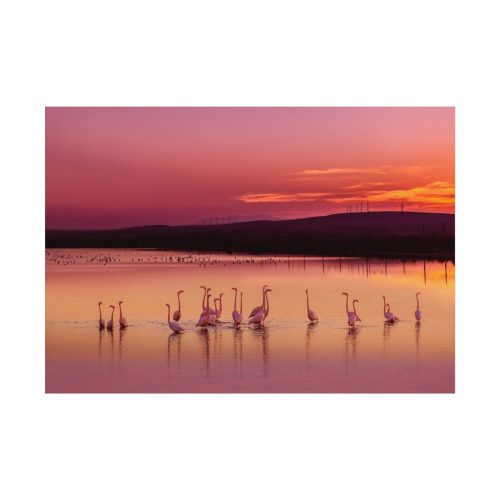 Sunset Leaves Silhouette Poster