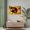 92409-138.jpg Dandelion and Sunset Poster