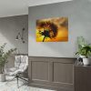 92409-139.jpg Dandelion and Sunset Poster