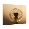 92409-142.jpg Dandelion on Yellow Day Poster