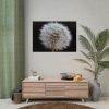 92409-168.jpg Closeup of Dandelion II Poster
