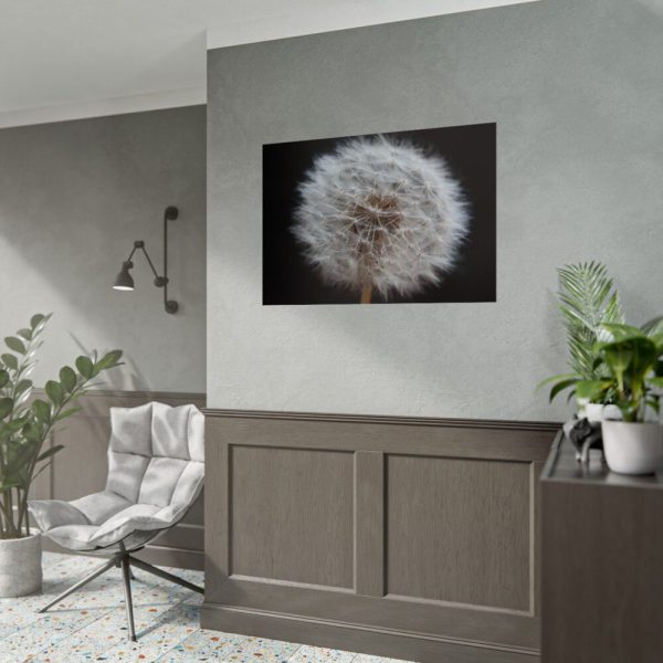 92409-169.jpg Closeup of Dandelion II Poster