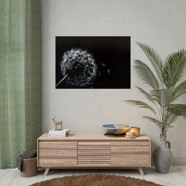 Dandelion Background Poster