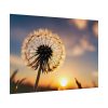 92409-182.jpg Dandelion Blossom Flower II Poster