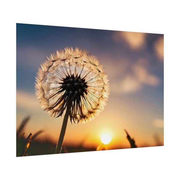 92409-182.jpg Dandelion Blossom Flower II Poster