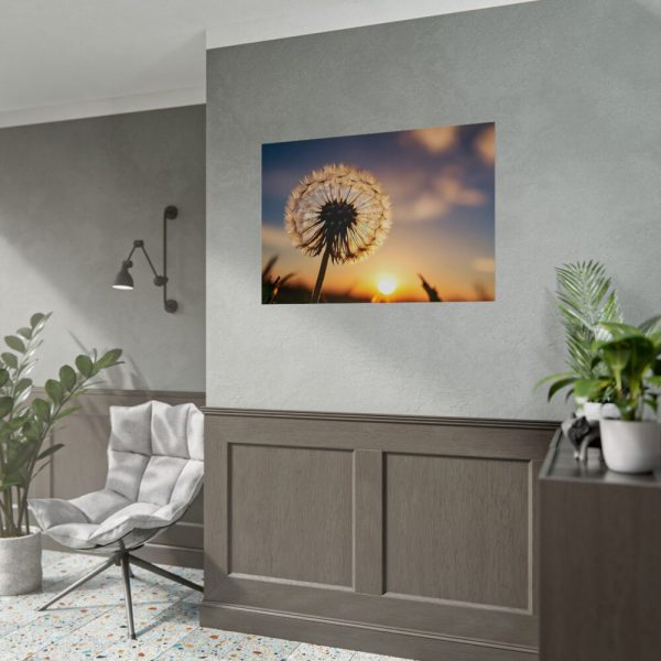 92409-184.jpg Dandelion Blossom Flower II Poster