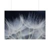 92409-226.jpg Macro Flower Detail Poster