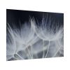 92409-227.jpg Macro Flower Detail Poster