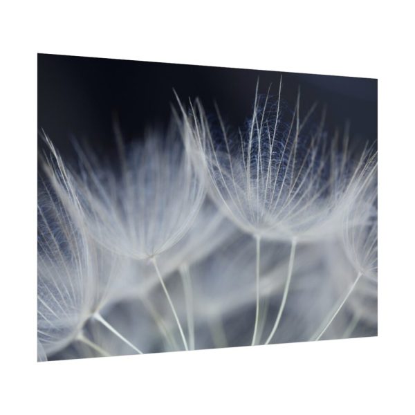 92409-227.jpg Macro Flower Detail Poster