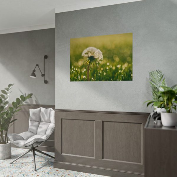 92409-234.jpg Dandelion in Dewey Grassy Area Poster