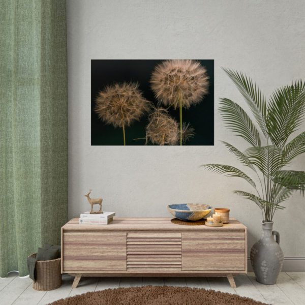 Giant Dandelion Poster