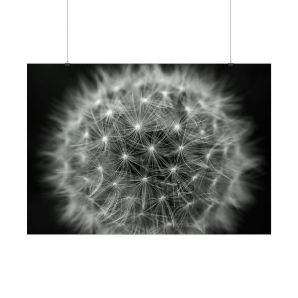 Dandelion Light Effect Poster