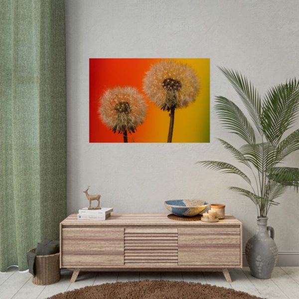 92409-268.jpg Dandelion on Yellow Background Poster