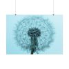 92409-271.jpg Dandelion Puffball Puff Poster
