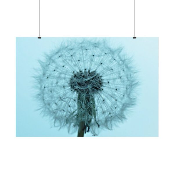 92409-271.jpg Dandelion Puffball Puff Poster