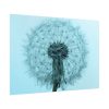 92409-272.jpg Dandelion Puffball Puff Poster