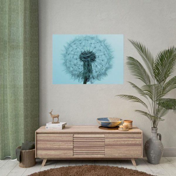 92409-273.jpg Dandelion Puffball Puff Poster