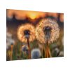 92409-292.jpg Dandelion Blossom Flower Poster