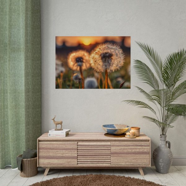 92409-293.jpg Dandelion Blossom Flower Poster