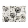 92409-300.jpg Dandelion Flower Blossom Poster