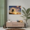 Dandelion in Golden Hour Poster