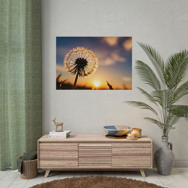 Dandelion in Golden Hour Poster