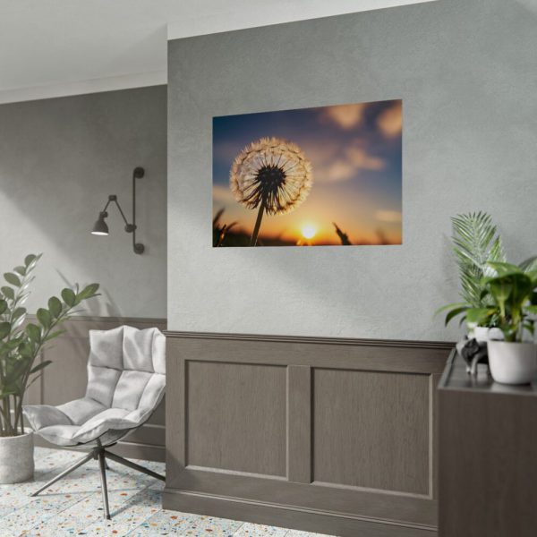 Dandelion in Golden Hour Poster