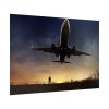 92409-367.jpg Man With Airplaine in Landscape Poster