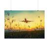 92409-371.jpg Grass, Sky, Nature, Airport Poster