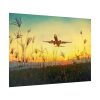 92409-372.jpg Grass, Sky, Nature, Airport Poster