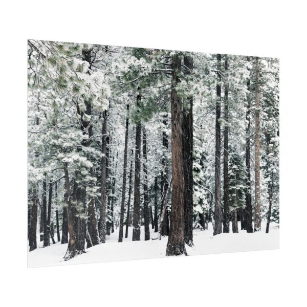 Old Mammoth Road Poster