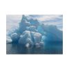 92409-510.jpg Polar Ice Caps Poster