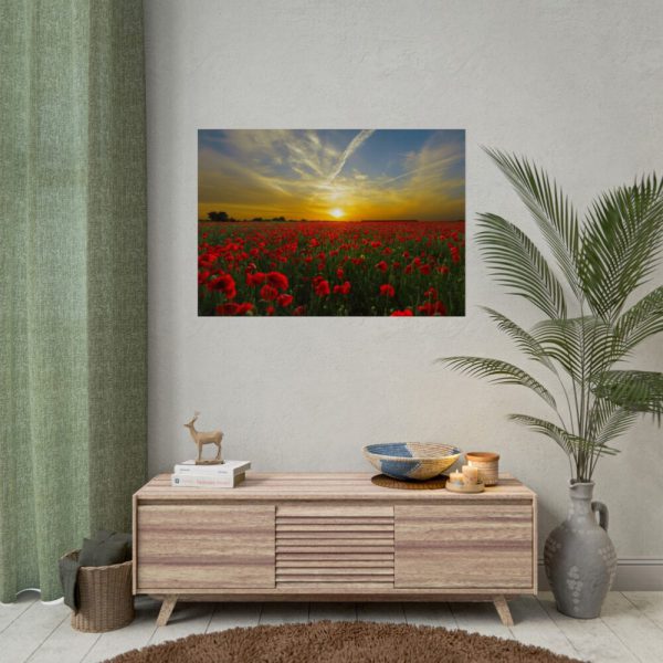 92409-558.jpg Flower Field in Sunset Poster