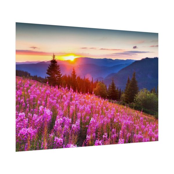 92409-587.jpg Sunlight Afterglow Poster