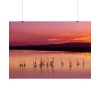 92409-601.jpg Sunset Leaves Silhouette Poster