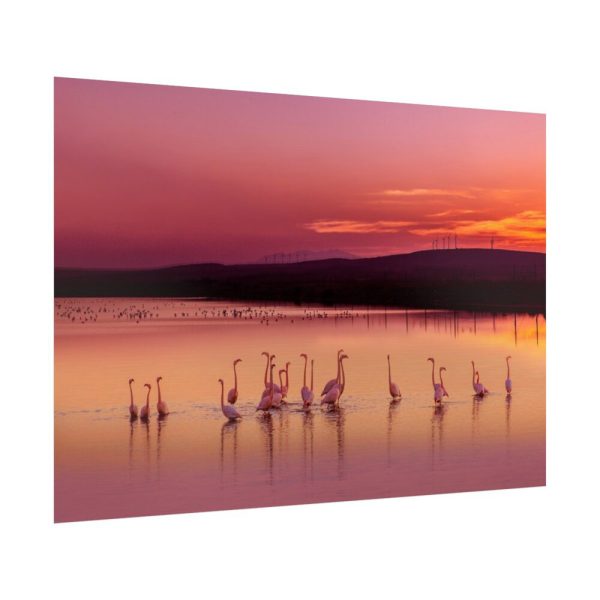 92409-602.jpg Sunset Leaves Silhouette Poster