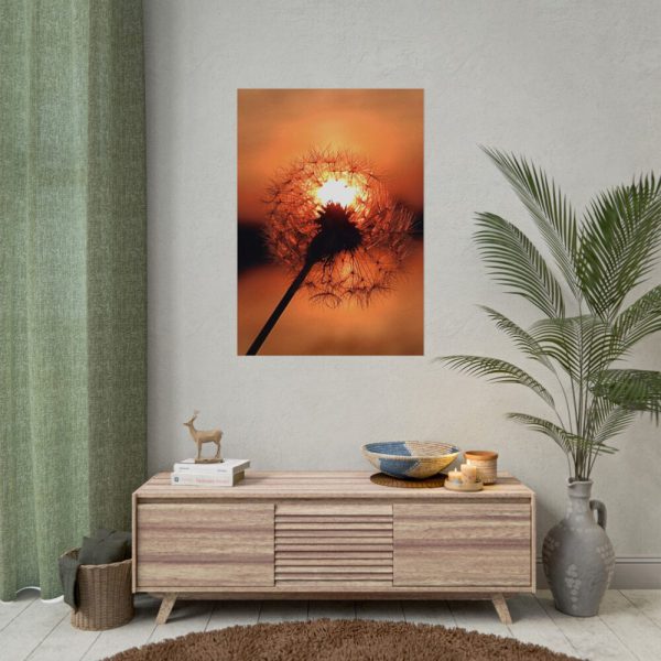 Dandelion in Sunset Poster