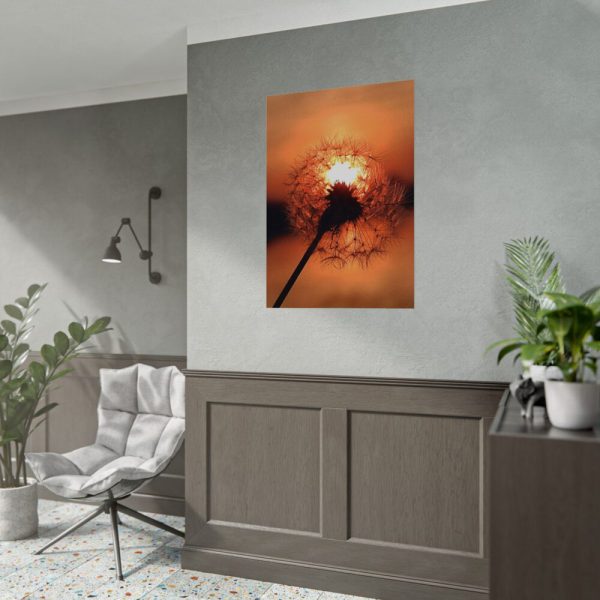 Dandelion in Sunset Poster