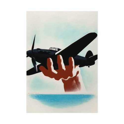 92410-125.jpg Aeroplane in Hand Poster