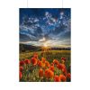 92410-161.jpg Sunset in Field With Red Wild Flowers Poster
