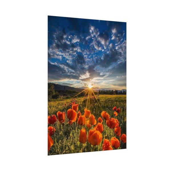92410-162.jpg Sunset in Field With Red Wild Flowers Poster