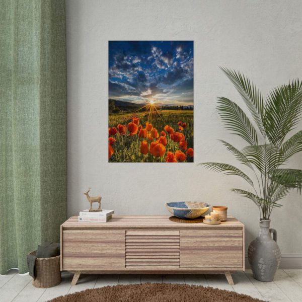 92410-163.jpg Sunset in Field With Red Wild Flowers Poster