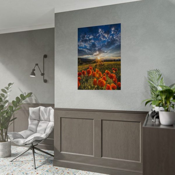 92410-164.jpg Sunset in Field With Red Wild Flowers Poster