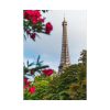 92410-75.jpg Paris in Nature Poster