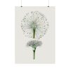 92410-86.jpg Hand Drawn White Blood Lily Poster
