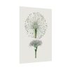 92410-87.jpg Hand Drawn White Blood Lily Poster