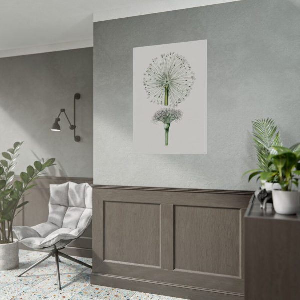 92410-89.jpg Hand Drawn White Blood Lily Poster