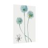 92410-92.jpg Blue Leek from Edwards’s Botanical Register Poster